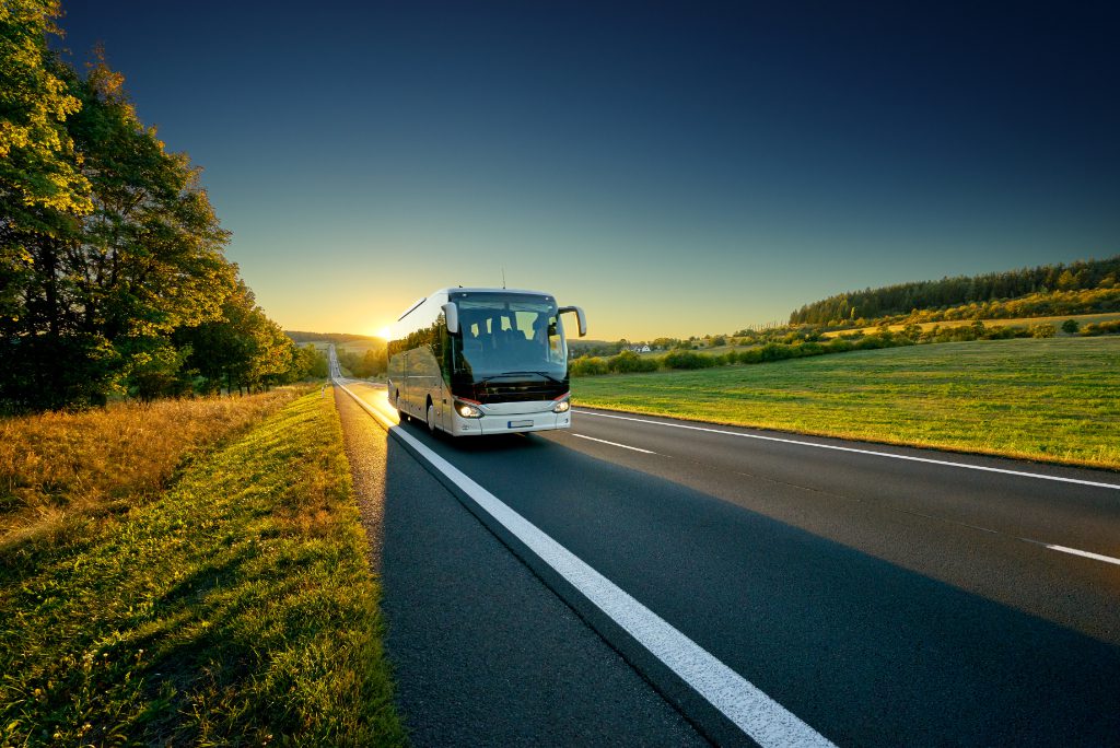 White bus traveling on the asphalt road around line of trees in