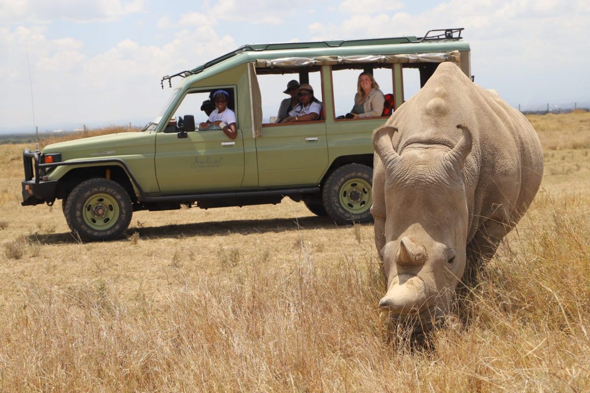 Electric safari vehicle belonging to the Asilia Ol Pejeta Bush Camp in Kenya.