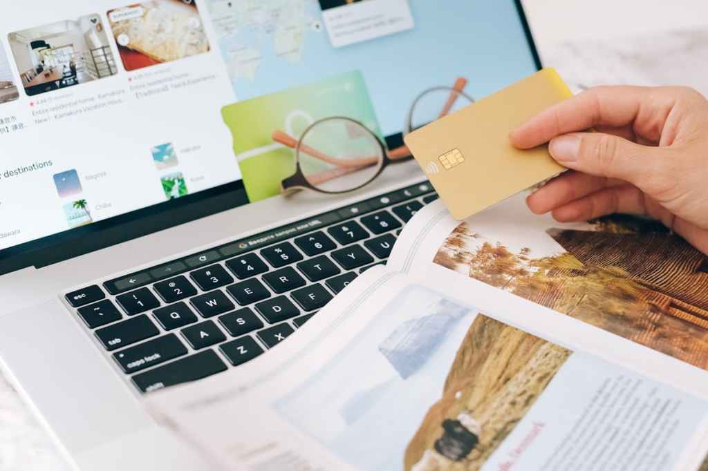 Representational image: Person Holding Credit Card and Searching on the Internet.