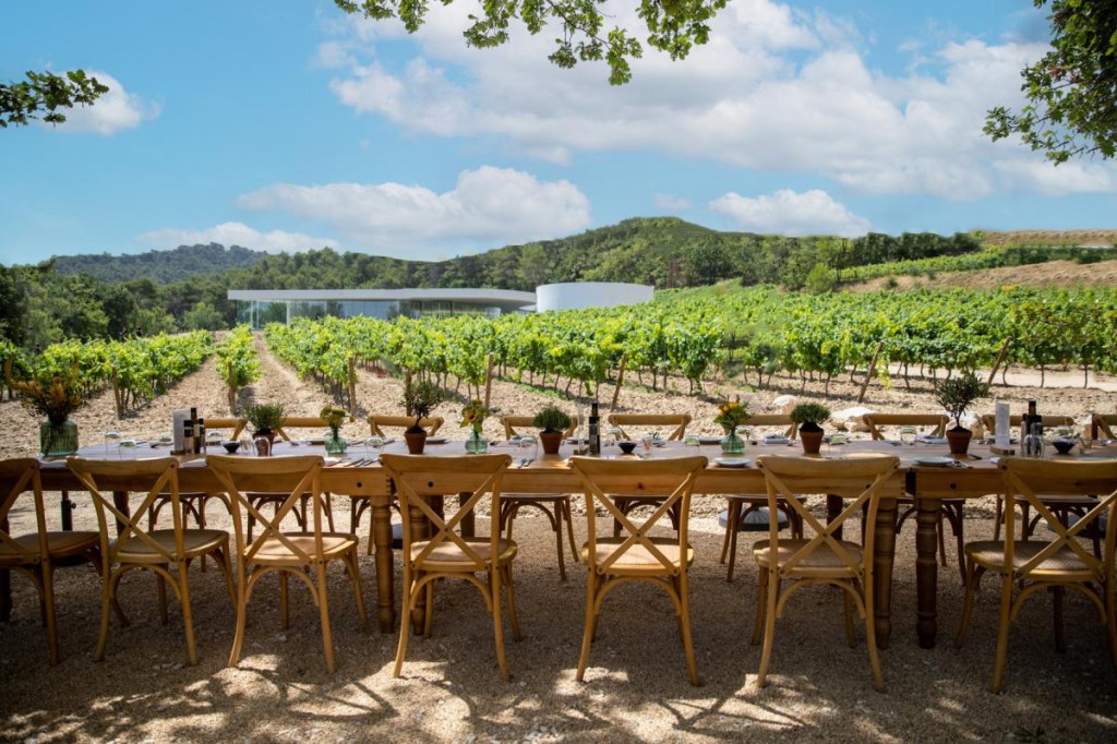 a vineyard in Marseille in July 2023 shown in bright sunshine with tables for guests