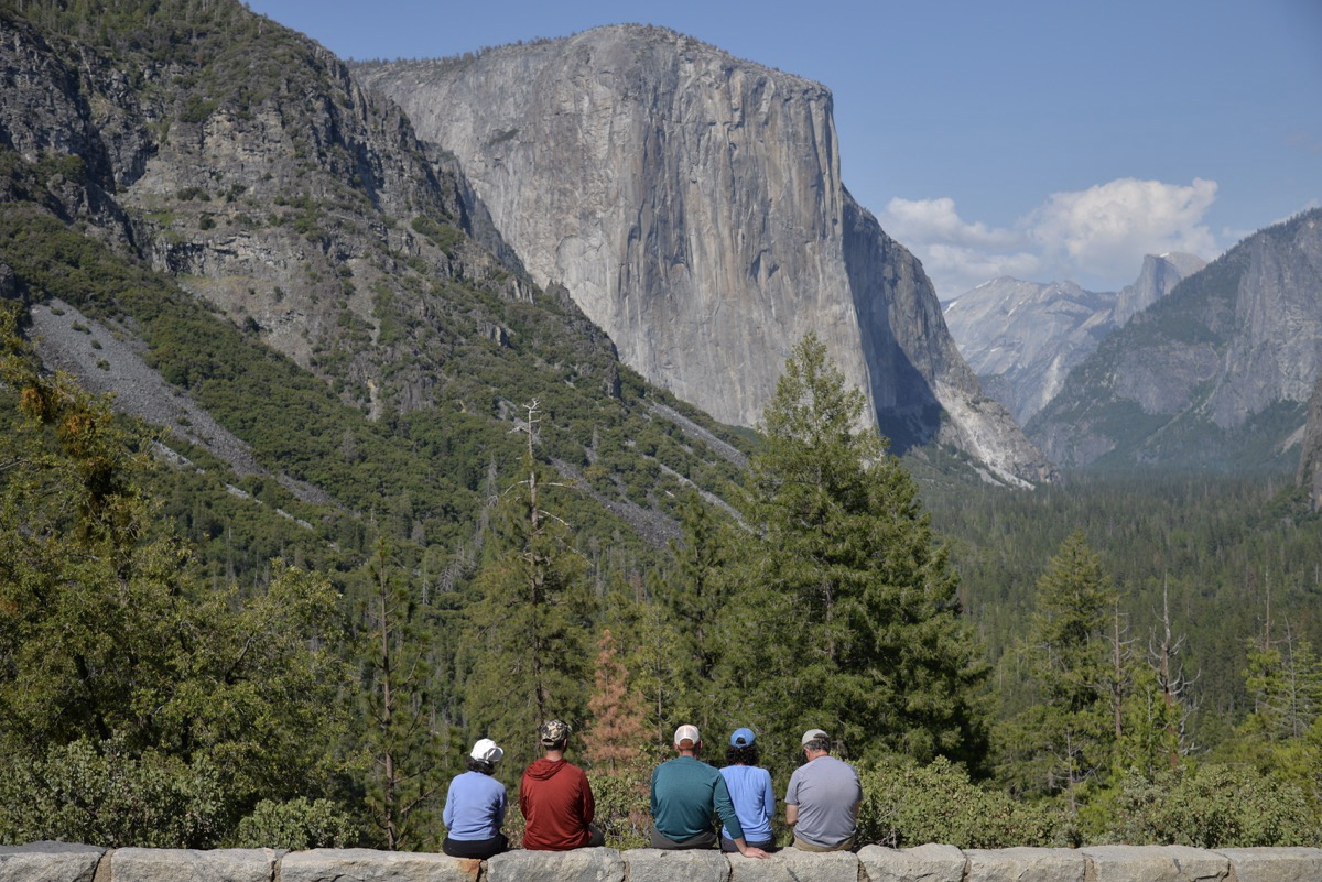 The backs of five people as they look at a giant cliff in a park.