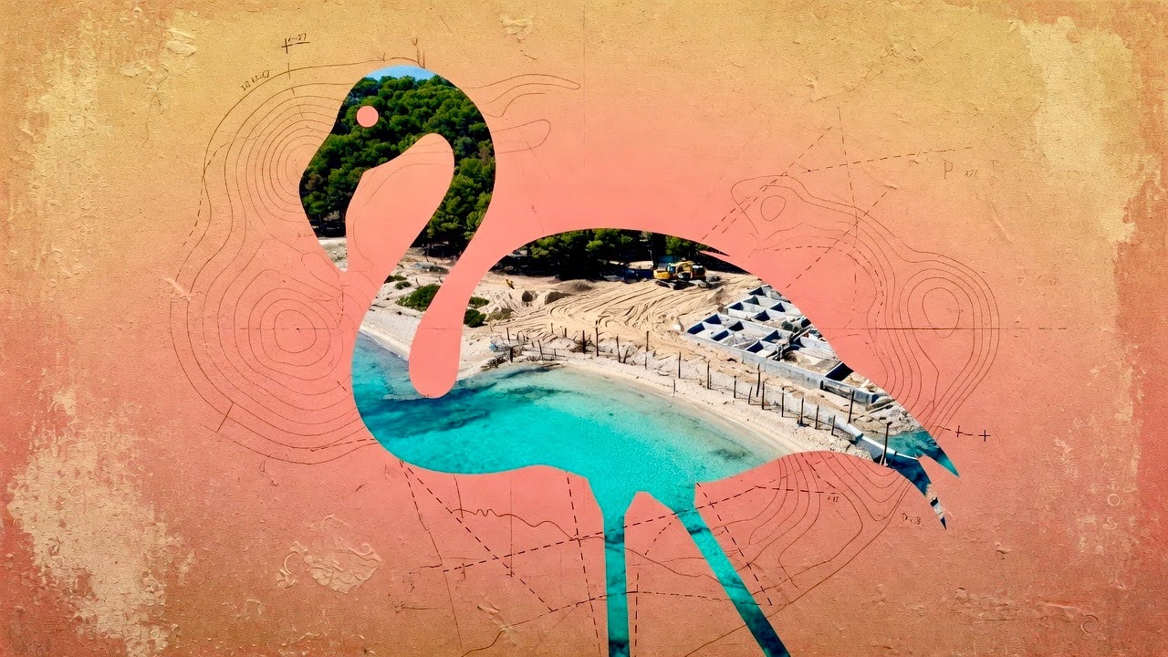 Flamingo