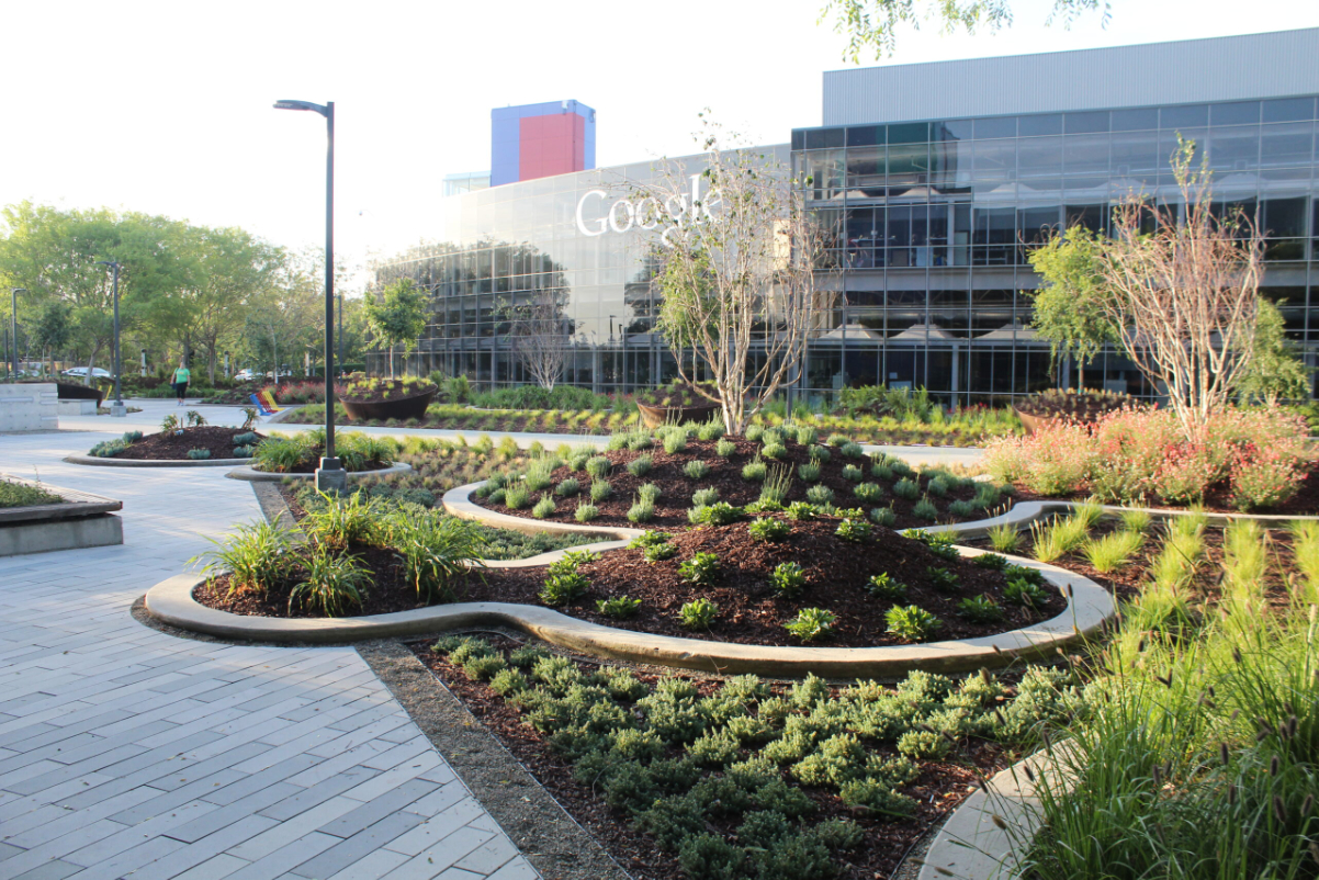 An image of a Google office on a sunny day, with glass walled buildings and a courtyard