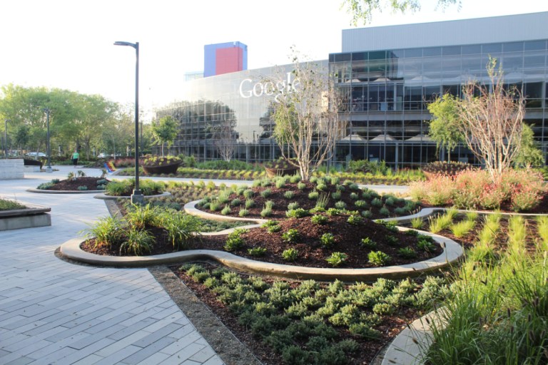 An image of a Google office on a sunny day, with glass walled buildings and a courtyard